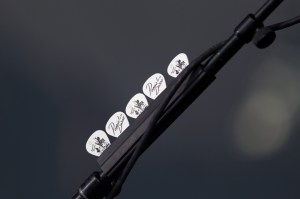 Weezer and Panic! At the Disco played the Shoreline Amphitheater in Mountain View, CA